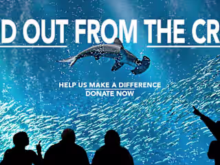 Georgia Aquarium Marketing 