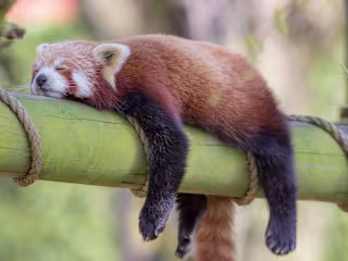 How to Beat Fatigue