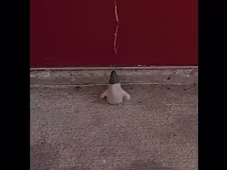 small wizard
