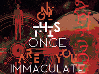 Only This Once Are You Immaculate - flipped eye publishing