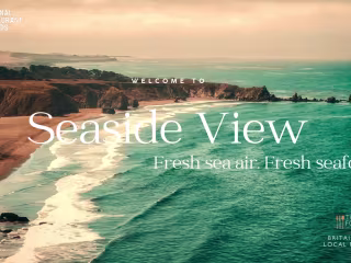 Spec Work: Seaside View Website
