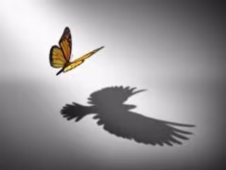 “Image Transformation and Perspective Correction Using Matlab”