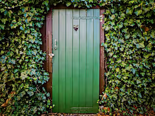 The Wrong Doors 