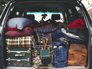 Trunk Tetris