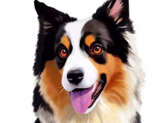 Illustrator