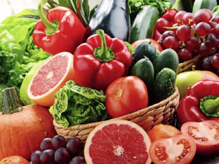 Everything you need to know about food production