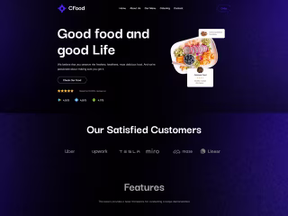Design or Redesign Responsive Webflow Website