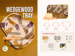 Branding + Product Catalogue Design