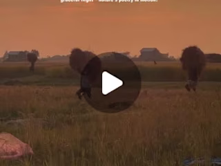 Social Media Video Editing