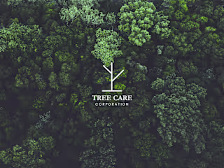 TREE CARE BRAND DESIGN(Personal Project) on Behance