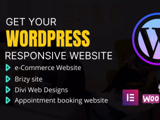 Wordpress developer