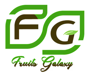 Website Creation