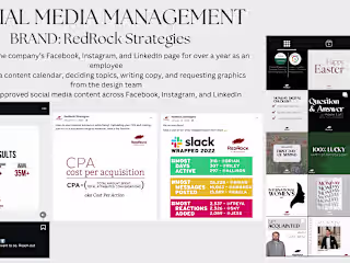 Social Media Management for Consulting Firm