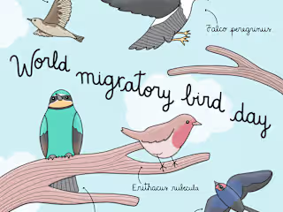 World migratory day - Social media illu for UNDP