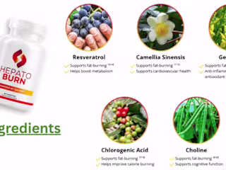 HEPATOBURN : (STEP-BY-STEP RECIPE) - WHAT IS THE HEPATOBURN?