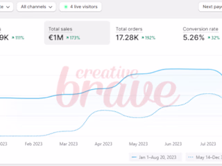 How we helped a cosmetic brand reach 
1 million euros in revenue