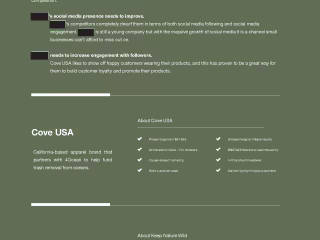Writing for Marketing Strategy