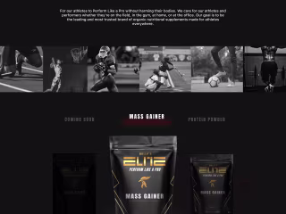 Web Design - Protein Brand