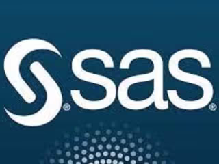 SAS Discovery Phase