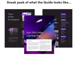 The Programming Guide: Content and Design