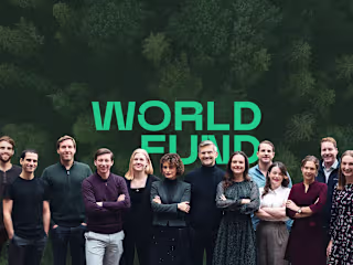 Webdevelopment | World Fund