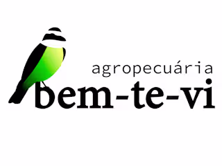 Bem-Te-Vi Agribusiness: enhancing the brand authenticity