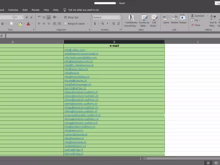 Data Entry Email Oriented