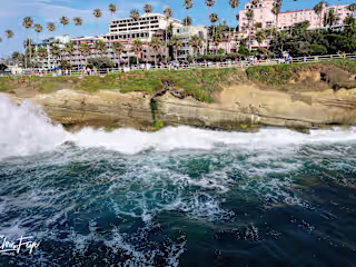 Playful shot of seagulls in San Diego using my drone.