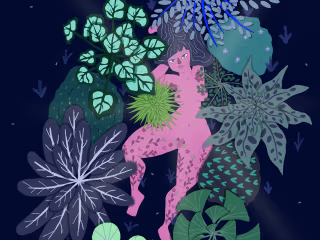 Illustrations
