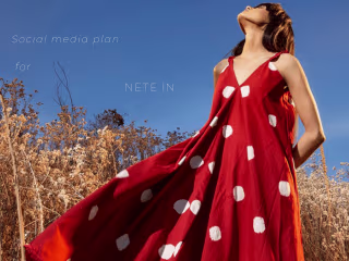 Social media plan for NETE.IN on Behance