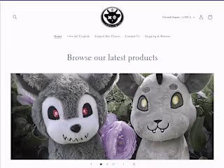 Improving an E-Commerce Website by Studying Users