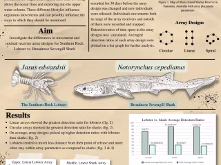 Receiver Array Design Scientific Poster 
