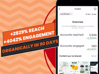 Social Media Manager & Content Creation