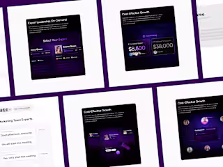 Custom Illustrations + Animation | Networking & Hiring Platform