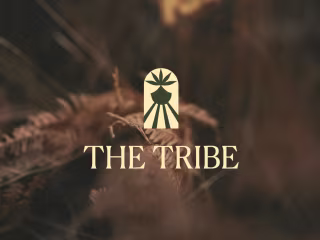 Brand Visual Identity