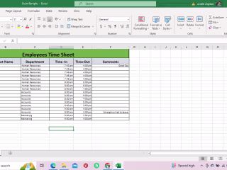 Data Entry Samples 