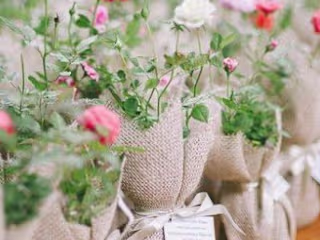 Wake Up and Smell the Roses: 5 Tips for a productive morning