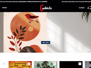 E-commerce Growth for Artworks Brand - Canbhas