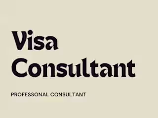 Visa consultant