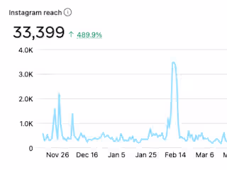 Organic Social Media Campaign 