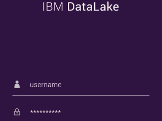 IBM DataLake