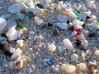 Blog: Microplastics Unveiled: The Silent Threat to Our Health