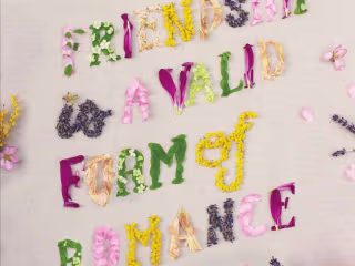 Friendship is a Valid Form of Romance