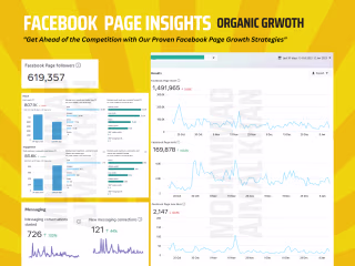 Facebook Page Organic Growth - Automobile Client
