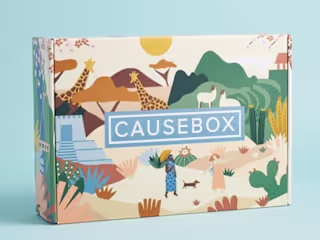 Packaging Design 