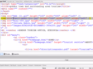 programing
