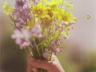 Sutro Flowers App & Web Design