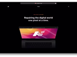 AviCorp Landing page