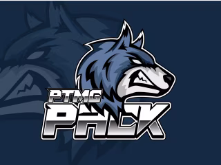 create a custom logo design mascot, cartoon, gaming, or sports.