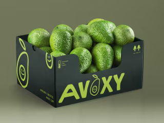 Identity design for Avoxy 